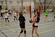 DSC_0339.JPG (90,8 KB - 27/12/2015 14:52:26)