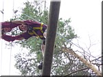 DSC00174.JPG (146 KB - 12/08/2002 - 11:34)