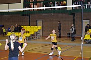 DSC_0770.JPG (93,5 KB - 10/02/2013 10:33:26)