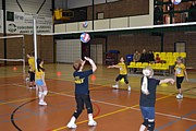 DSC_0771.JPG (98,3 KB - 10/02/2013 10:33:34)