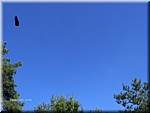 HPIM0109.jpg (70 KB - 13/08/2005 - 10:09)