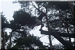 100_1517.JPG (107 KB - 17/08/2006 - 11:48)