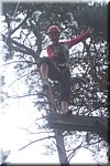 100_1520.JPG (97,8 KB - 17/08/2006 - 11:50)