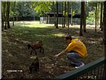 HPIM0536.JPG (131 KB - 13/08/2006 - 11:47)