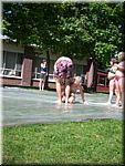 DSCI0019.JPG (14/08/2008- 161 KB - 16/08/2008 - 21:37)
