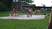 SANY3332.JPG (130 KB - 14/08/2009 16:27:45)