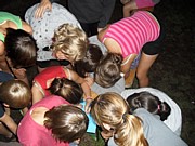 SDC12710.JPG (131 KB - 18/08/2010 21:10:14)