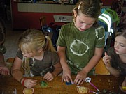 DSCF6207.JPG (102 KB - 18/08/2013 4:17:47)