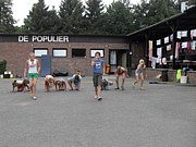SDC13403.JPG (151 KB - 14/08/2013 13:34:37)