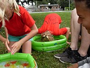 SDC13517.JPG (129 KB - 15/08/2013 14:31:06)