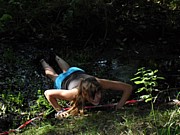 SDC13660.JPG (125 KB - 16/08/2013 9:55:38)