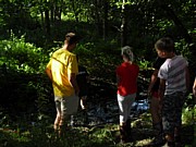 SDC13667.JPG (147 KB - 16/08/2013 10:07:37)