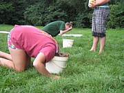 IMG_1696.JPG (165 KB - 12/08/2013 16:41:20)
