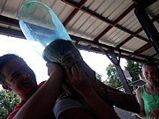 P8180213.JPG (89,2 KB - 18/08/2013 15:38:16)