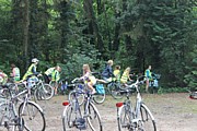 IMG_8698.JPG (177 KB - 13/08/2014 17:42:49)