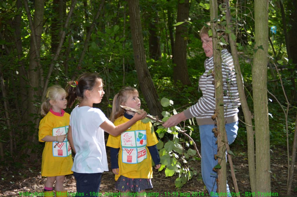 Een kamp bouwen in het bos.