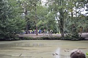 DSC_5640.JPG (163 KB - 11/08/2014 16:51:06)
