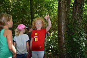 DSC_1555.JPG (140 KB - 13/08/2016 13:40:33)