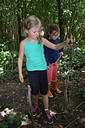 DSC_1558.JPG (148 KB - 13/08/2016 13:42:19)