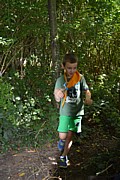 DSC_1569.JPG (177 KB - 13/08/2016 13:57:47)