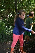 DSC_1570.JPG (125 KB - 13/08/2016 13:57:53)