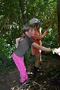 DSC_1573.JPG (163 KB - 13/08/2016 13:58:00)