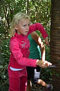 DSC_1574.JPG (104 KB - 13/08/2016 14:05:34)