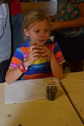 DSC_1721.JPG (68,0 KB - 14/08/2016 20:58:04)