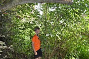 DSC_1805.JPG (221 KB - 16/08/2016 9:51:07)