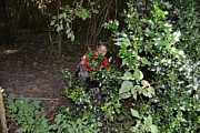DSC_1806.JPG (166 KB - 16/08/2016 9:52:00)