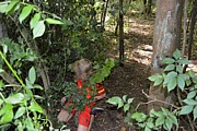 DSC_1809.JPG (172 KB - 16/08/2016 9:54:32)