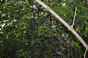DSC_1814.JPG (182 KB - 16/08/2016 10:03:08)