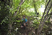 DSC_1815.JPG (204 KB - 16/08/2016 10:06:03)