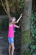 DSC_1817.JPG (124 KB - 16/08/2016 19:14:42)