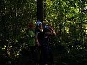 PICT0337.JPG (164 KB - 16/08/2016 19:52:11)