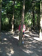 PICT0359.JPG (169 KB - 17/08/2016 10:23:06)