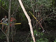 SDC14872.JPG (175 KB - 12/03/2016 13:47:51)