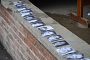 DSC_3755.JPG (87,4 KB - 11/08/2016 20:23:37)