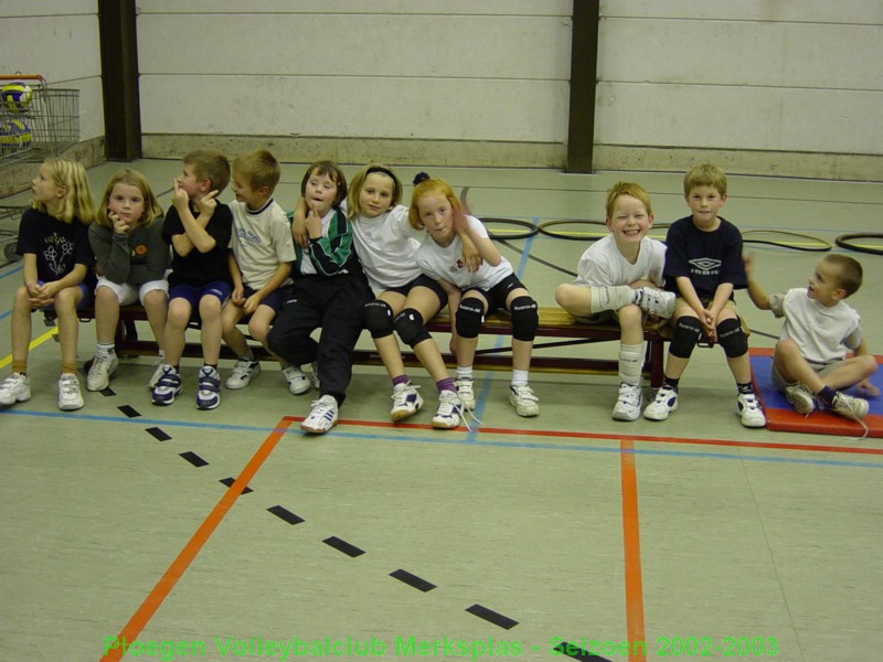 Bewegingsschool