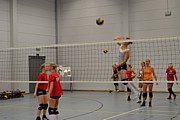 DSC_3145.JPG (82,4 KB - 7/09/2013 15:26:47)