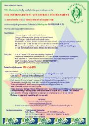 Information volleyball tournament 2004 - PDF