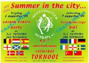 International Volleyball Tournament 2004